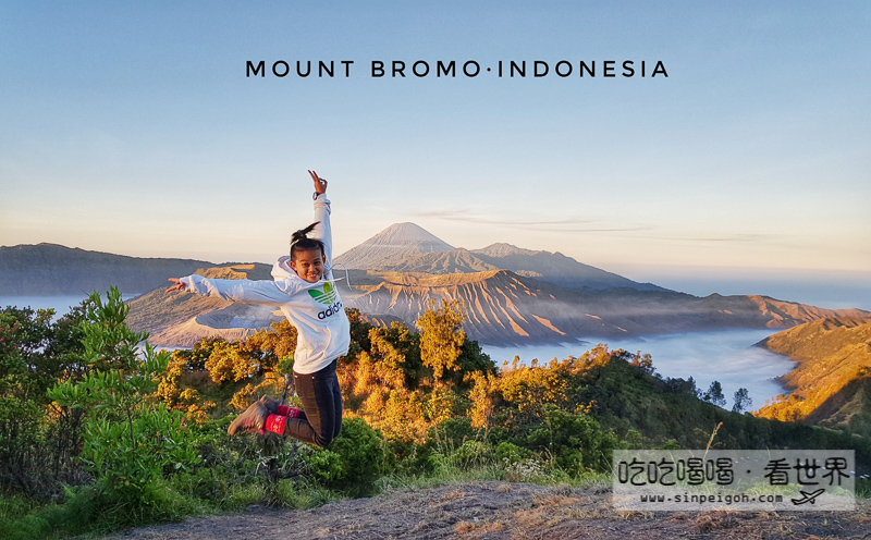 Mount Bromo Ijen Trip