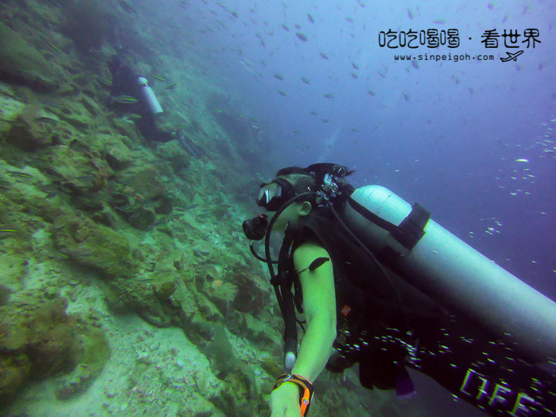 吃吃喝喝看世界 天鵝島 Tenggol Island diving