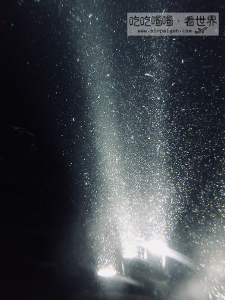 blackwater dive tenggol 