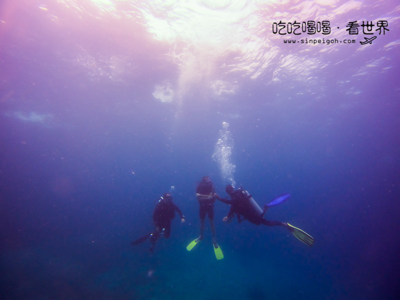 tenggol diving