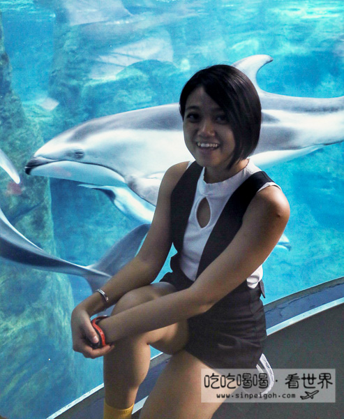 吃吃喝喝看世界 大阪海遊館 海豚