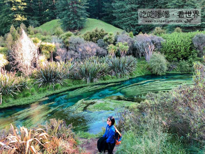 new zealand blue spring