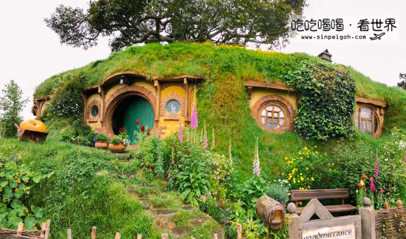 new zealand hobbiton