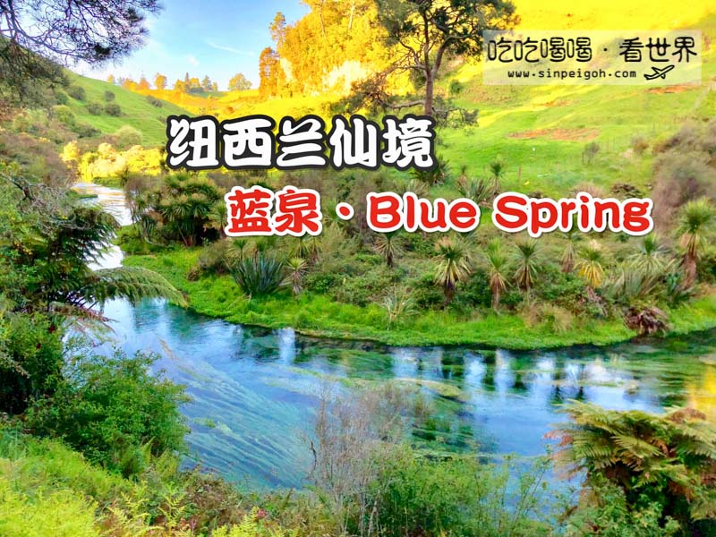 紐西蘭 blue spring