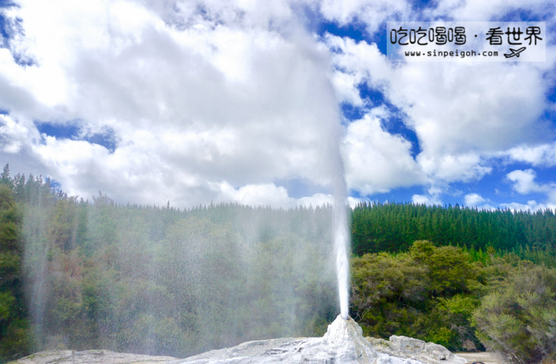 紐西蘭 Lady Knox Geyser